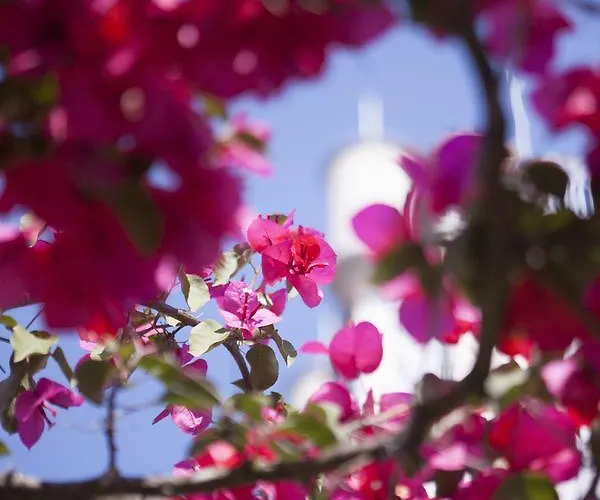 Castelo Santa Catarina 4* Πόρτο