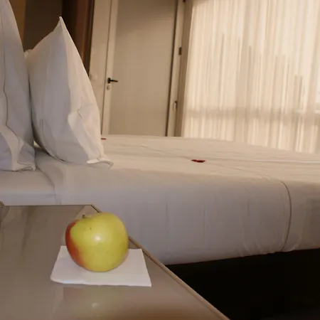 城堡圣卡塔琳娜酒店 波尔图