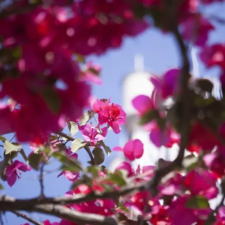 Castelo Santa Catarina 4* Porto